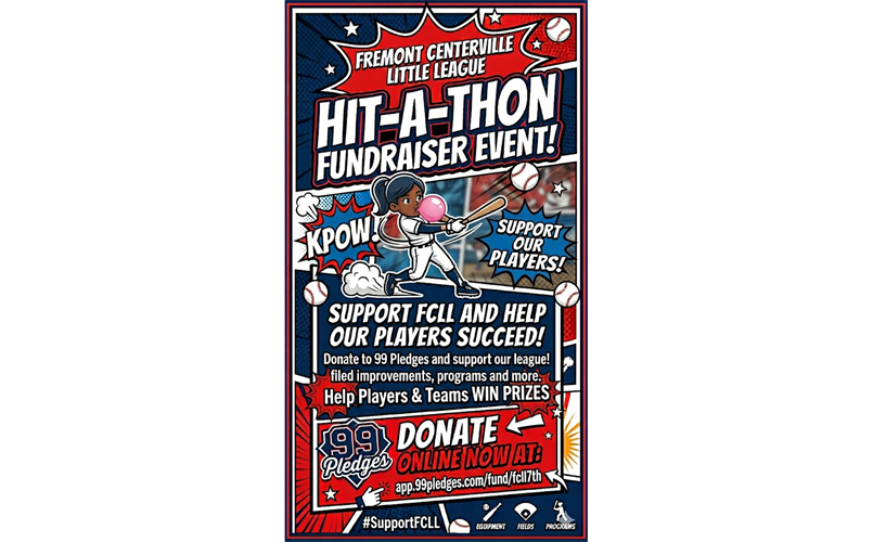 7th Annual Hit-A-Thon; DONATE NOW!